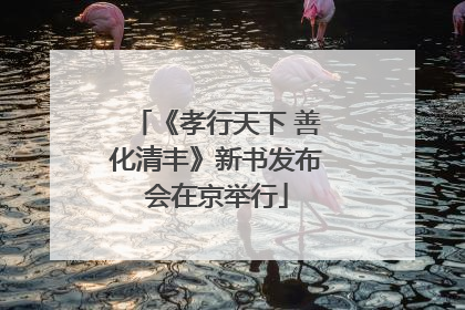 《孝行天下 善化清丰》新书发布会在京举行