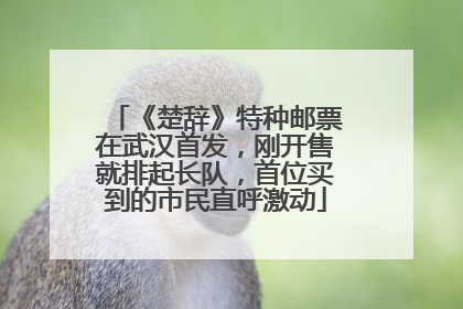 《楚辞》特种邮票在武汉首发，刚开售就排起长队，首位买到的市民直呼激动