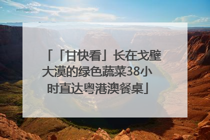 「甘快看」长在戈壁大漠的绿色蔬菜38小时直达粤港澳餐桌