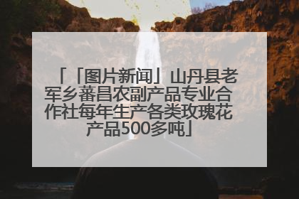 「图片新闻」山丹县老军乡蕃昌农副产品专业合作社每年生产各类玫瑰花产品500多吨