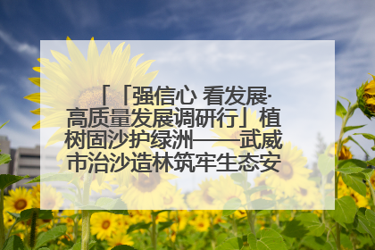「强信心 看发展·高质量发展调研行」植树固沙护绿洲——武威市治沙造林筑牢生态安全屏障见闻