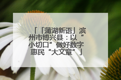 「蒲湖新语」滨州市博兴县：以“小切口”做好数字惠民“大文章”