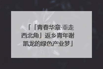 「青春华章·重走西北角」返乡青年谢凯龙的绿色产业梦