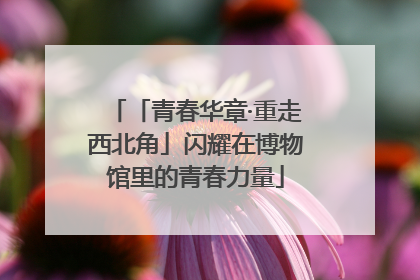 「青春华章·重走西北角」闪耀在博物馆里的青春力量