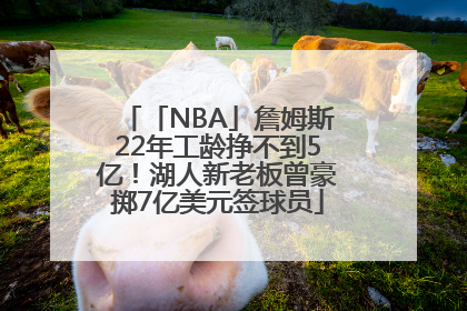 「NBA」詹姆斯22年工龄挣不到5亿！湖人新老板曾豪掷7亿美元签球员