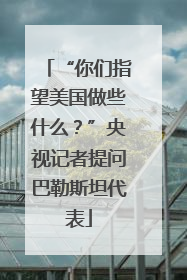 “你们指望美国做些什么？”央视记者提问巴勒斯坦代表