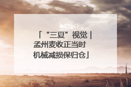 “三夏”视觉｜孟州麦收正当时 机械减损保归仓