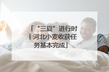“三夏”进行时丨河北小麦收获任务基本完成