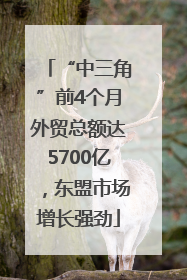 “中三角”前4个月外贸总额达5700亿，东盟市场增长强劲