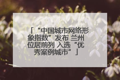 “中国城市网络形象指数”发布 兰州位居前列 入选“优秀案例城市”