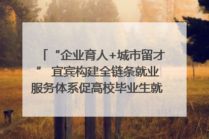 “企业育人+城市留才” 宜宾构建全链条就业服务体系促高校毕业生就业｜您牵挂的四川