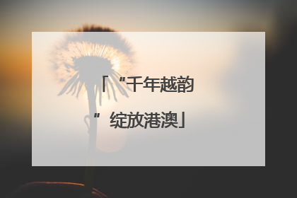 “千年越韵”绽放港澳