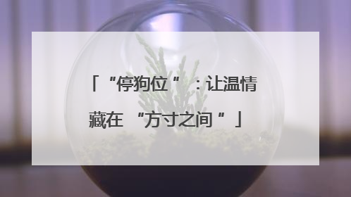 “停狗位 ”：让温情藏在 “方寸之间 ”