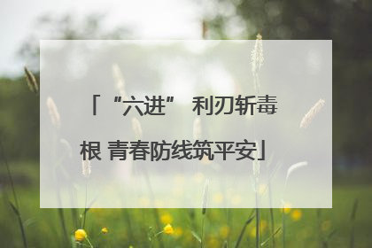 “六进” 利刃斩毒根 青春防线筑平安