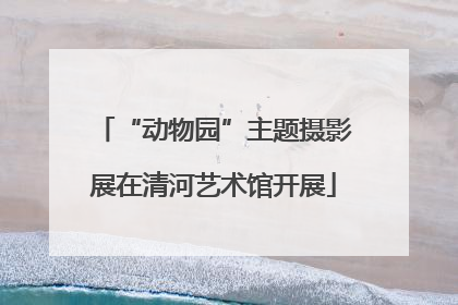 “动物园”主题摄影展在清河艺术馆开展