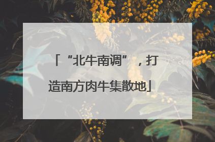 “北牛南调”，打造南方肉牛集散地