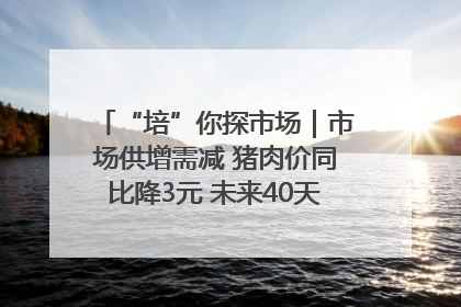 “培”你探市场｜市场供增需减 猪肉价同比降3元 未来40天便宜猪肉敞开吃