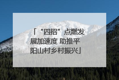 “四招”点燃发展加速度 助推平阳山村乡村振兴