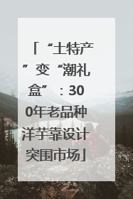 “土特产”变“潮礼盒”：300年老品种洋芋靠设计突围市场