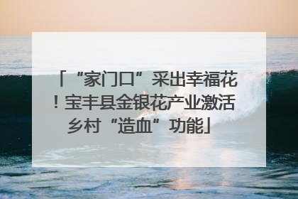 “家门口”采出幸福花！宝丰县金银花产业激活乡村“造血”功能