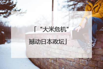 “大米危机”撼动日本政坛