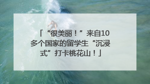 “很美丽！”来自10多个国家的留学生“沉浸式”打卡桃花山！