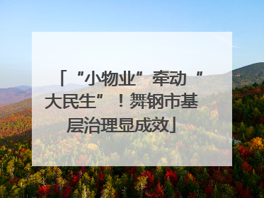 “小物业”牵动“大民生”！舞钢市基层治理显成效