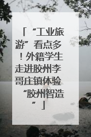 “工业旅游”看点多！外籍学生走进胶州李哥庄镇体验“胶州智造”