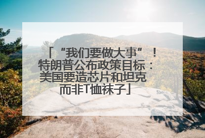 “我们要做大事”！特朗普公布政策目标：美国要造芯片和坦克 而非T恤袜子