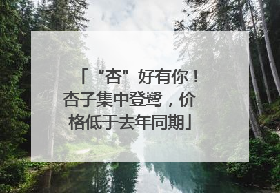 “杏”好有你！杏子集中登鹭，价格低于去年同期
