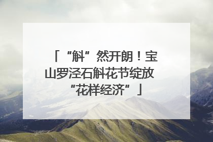 “斛”然开朗！宝山罗泾石斛花节绽放“花样经济”