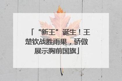 “新王”诞生！王楚钦战胜雨果，骄傲展示胸前国旗