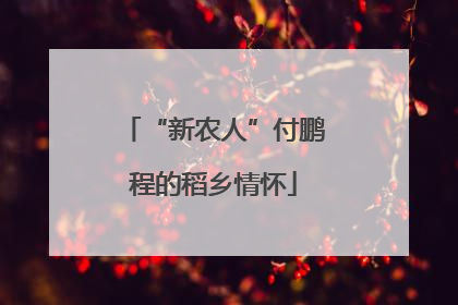 “新农人”付鹏程的稻乡情怀