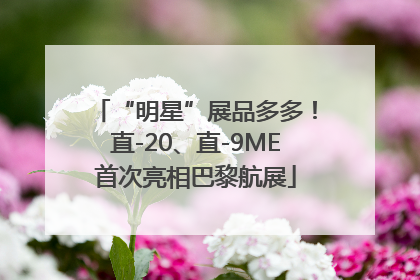 “明星”展品多多！直-20、直-9ME首次亮相巴黎航展