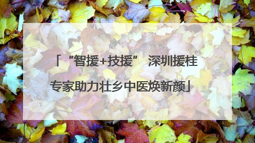 “智援+技援” 深圳援桂专家助力壮乡中医焕新颜
