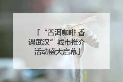 “普洱咖啡 香遇武汉”城市推介活动盛大启幕