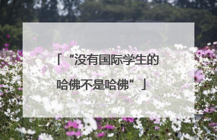“没有国际学生的哈佛不是哈佛”