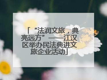 “法润文旅，典亮远方”——江汉区举办民法典进文旅企业活动