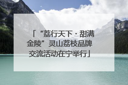 “荔行天下・甜满金陵”灵山荔枝品牌交流活动在宁举行