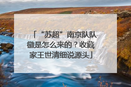 “苏超”南京队队徽是怎么来的？收藏家王世清细说源头