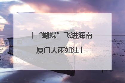 “蝴蝶”飞进海南 厦门大雨如注