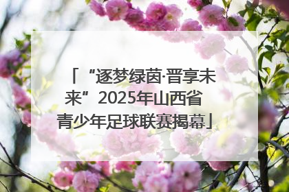 “逐梦绿茵·晋享未来”2025年山西省青少年足球联赛揭幕