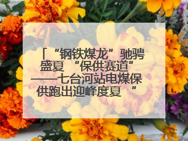 “钢铁煤龙”驰骋盛夏 “保供赛道”——七台河站电煤保供跑出迎峰度夏 “加速度”