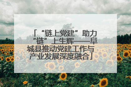 “链上党建”助力“链”上生辉——阜城县推动党建工作与产业发展深度融合