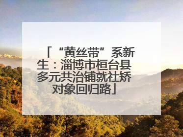 “黄丝带”系新生：淄博市桓台县多元共治铺就社矫对象回归路