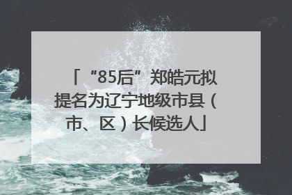 “85后”郑皓元拟提名为辽宁地级市县（市、区）长候选人