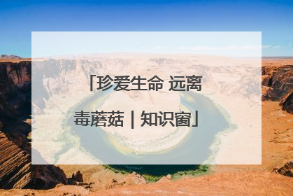 珍爱生命 远离毒蘑菇｜知识窗