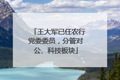 王大军已任农行党委委员，分管对公、科技板块
