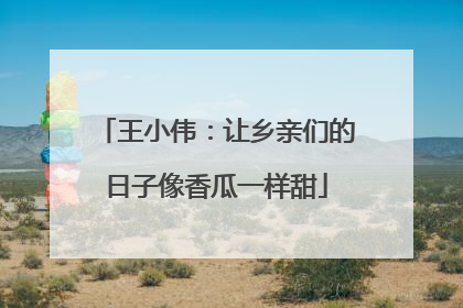 王小伟：让乡亲们的日子像香瓜一样甜