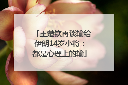 王楚钦再谈输给伊朗14岁小将：都是心理上的输